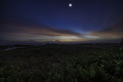 uD82_8360_NearlyHere.jpg