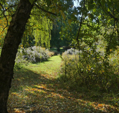 Cokesbury Meadow Colors 3.jpg