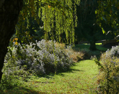 Cokesbury Meadow Colors 5.jpg