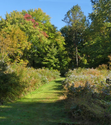 Cokesbury Meadow Colors 2.jpg