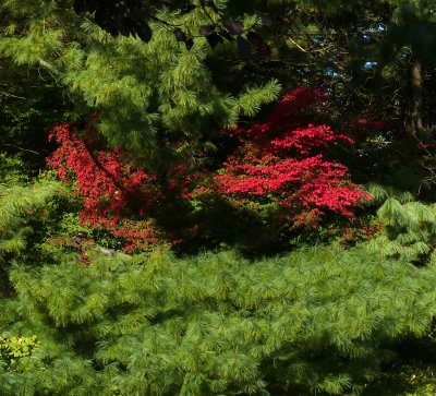 Cokesbury Fall Colors.jpg
