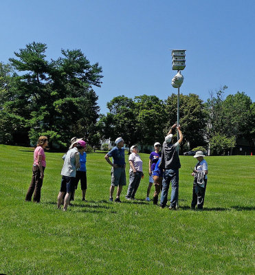 Cokesbury Purple Martin Tagging 1.jpg