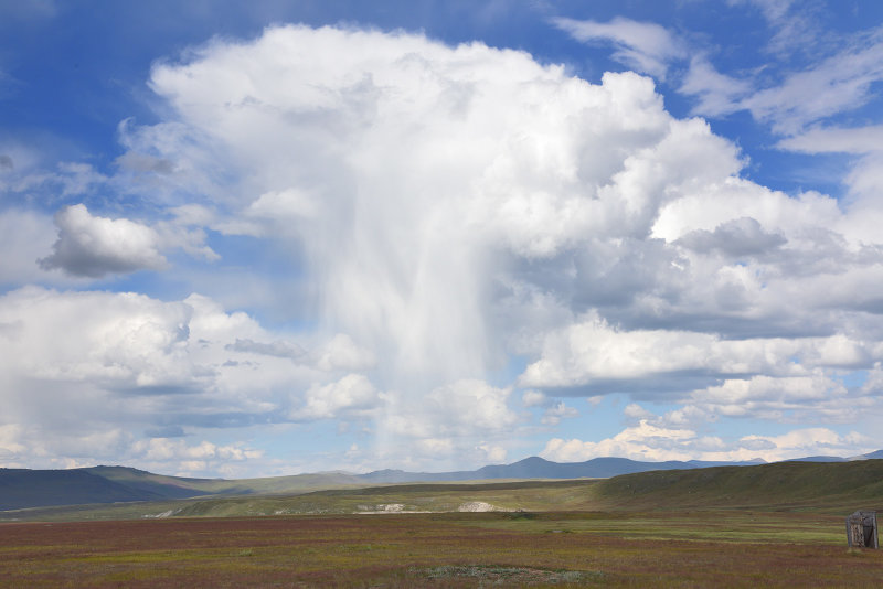 on the Ukok plateau