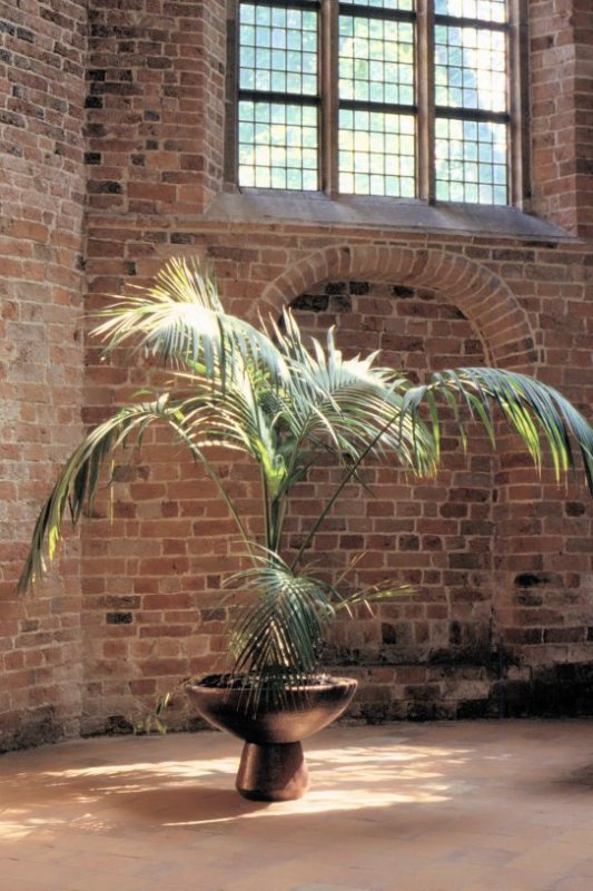 Ter Apel monastery