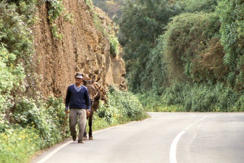 Tenerife - 1988