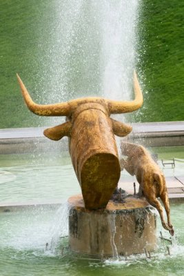 DSC_8726_v1.jpg
