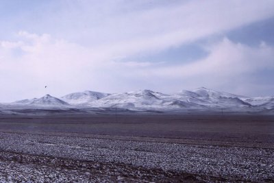 g12/52/467152/3/170448016.veoYgg3o.jpg
