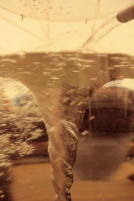 #FOTO-0003.jpg