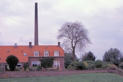 #ROT-0004.jpg