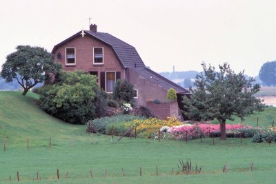 #ROT-0008.jpg