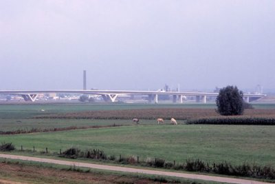 #ROT-0011.jpg