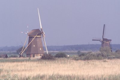 #ROT-0016.jpg