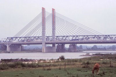 #ROT-0018.jpg