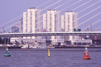 #ROT-0037.jpg