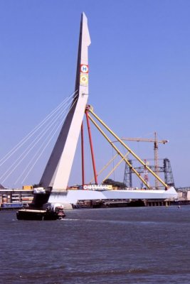 #ROT-0063.jpg