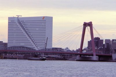 #ROT-0065.jpg