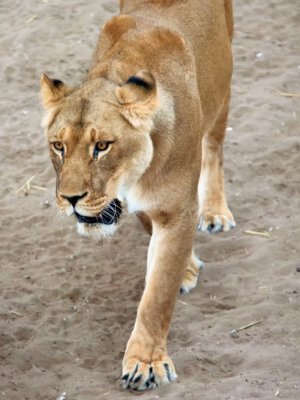 ACV_3186.jpg
