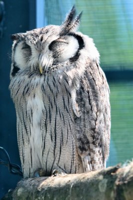 DSC_3167.jpg