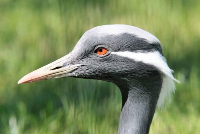 DSC_3297.jpg