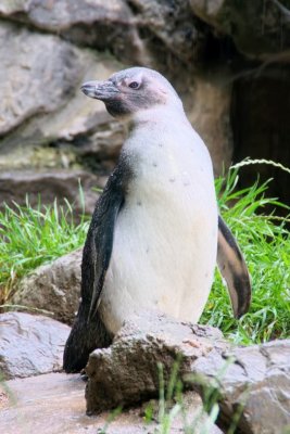 DSC_7206.jpg