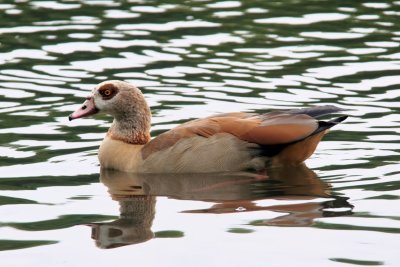 DSC_7371.jpg