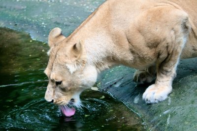DSC_7396.jpg