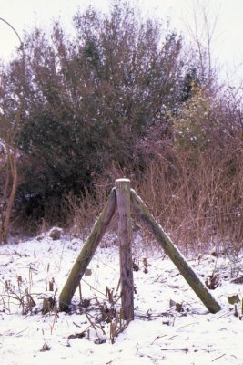 Winter-001