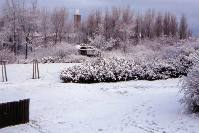 Winter-004