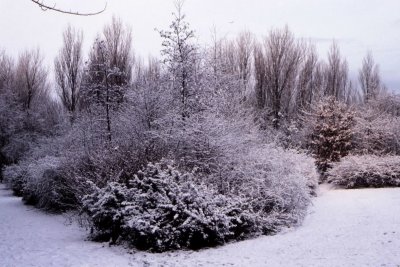 Winter-005