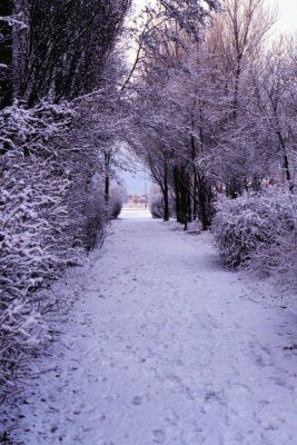 Winter-006