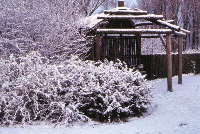 Winter-009