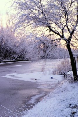 Winter-011