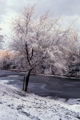 Winter-012