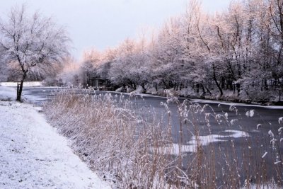 Winter-013