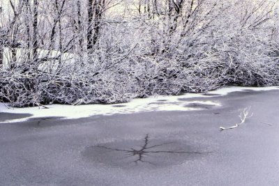 Winter-014