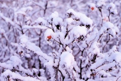 Winter-015