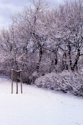 Winter-016