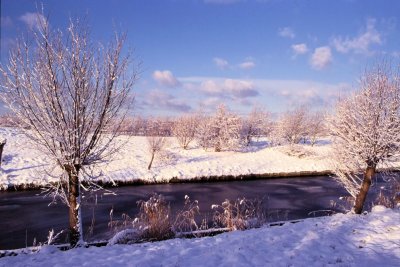Winter-028