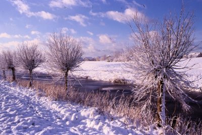 Winter-027