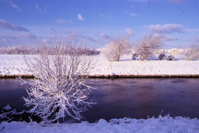 Winter-026