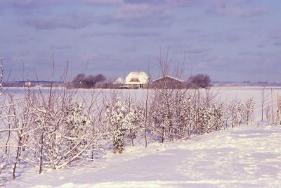 Winter-024