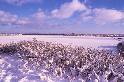 Winter-022