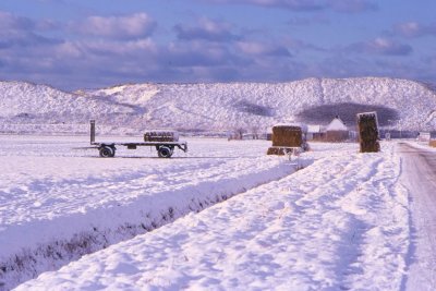 Winter-021