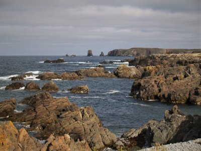 Bonavista - P8293367 (2).JPG
