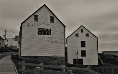 Bonavista Ryan Buildings P8293396 (2).JPG