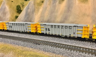 Another side shot of the custom numbered Herzog gons.