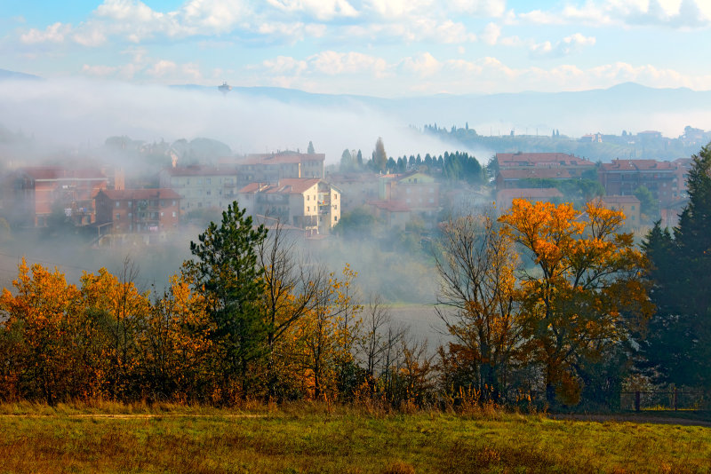 Todi