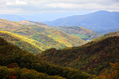 The hills of Monte Picognola