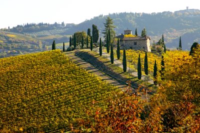 Tuscany/Toscana  - Landscapes (1)