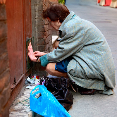 Feeding the street cats